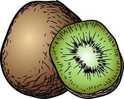 ancien main tiré kiwi fruit, adapté pour logo, étiquette et etc vecteur