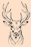 illustration de une cerf vecteur