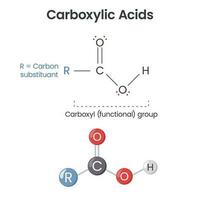 carboxylique acide chimique fonctionnel groupe scientifique vecteur illustration infographie