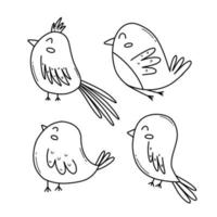 ensemble de des oiseaux dans griffonnage style. vecteur illustration. collection de printemps des oiseaux. linéaire style.
