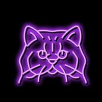 persan chat mignonne animal de compagnie néon lueur icône illustration vecteur