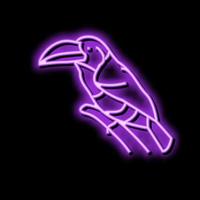 curl huppé aracari oiseau couleur exotique icône illustration vectorielle vecteur