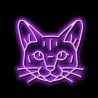 tonkinois chat mignonne animal de compagnie néon lueur icône illustration vecteur
