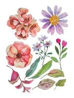 aquarelle fleur éléments clipart vecteur