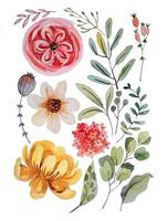 aquarelle fleur éléments clipart vecteur