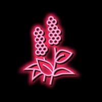 patchouli fleurs aromathérapie néon lueur icône illustration vecteur