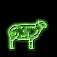 mouton national animal néon lueur icône illustration vecteur