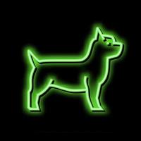 Yorkshire terrier chien néon lueur icône illustration vecteur