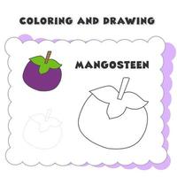 Élément de livre de coloriage et de dessin mangoustan vecteur