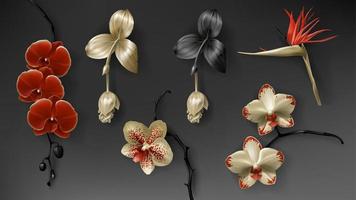 tropical noir, rouge et or orchidée fleur sur foncé vecteur
