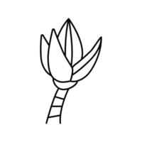 fleur banane ligne icône vecteur illustration