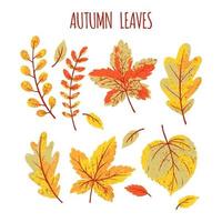 collection de feuilles d'automne vecteur