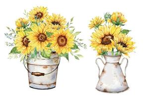 aquarelle tournesols bouquet, main peint tournesol bouquets avec verdure, tournesol fleur arrangement. tournesol ferme décor. aquarelle floral. botanique dessin. blanc Contexte vecteur