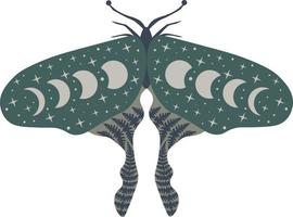 céleste papillon vecteur illustration. mystique luna papillon de nuit avec lune étapes. la magie floral insecte sur blanc Contexte. conception pour boho affiche, carte, fou t chemise imprimer, étiqueter, autocollant.