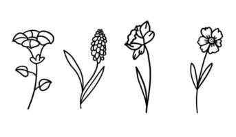 fleurs définies dans le style plat de doodle contour. illustration vectorielle sur fond blanc. vecteur