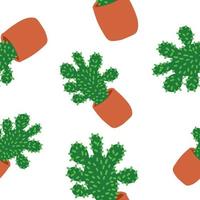 motif de cactus. illustration vectorielle dans un style plat de dessin animé isolé sur fond blanc. vecteur
