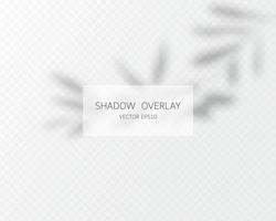 effet de superposition d'ombre. ombres naturelles isolées. illustration vectorielle. vecteur