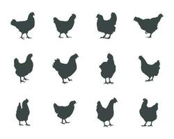 poulet poule silhouette, poule poulet silhouette ensemble, poulet silhouettes vecteur