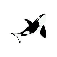 orque baleines. mer animal tueur baleines. Marin animal dans scandinave style. vecteur