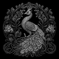 paon est une étonnamment magnifique oiseau connu pour fleuri plumes, lequel sont utilisé à attirer copains pendant cour affiche vecteur