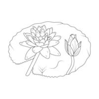 l'eau lis fleur coloration page et livre lotus main tiré ligne art vecteur