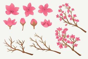 pente Sakura branches et fleurs conception collection vecteur