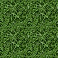 sans couture vert herbe fermer vecteur Contexte texture vert herbe