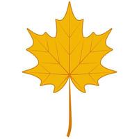 l'automne sec érable feuille, symbole Canada érable l'automne déchue feuille vecteur