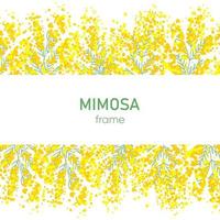 mimosa motif cadre, fond d'écran illustration vecteur