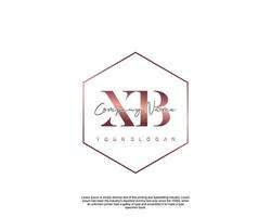 initiale lettre xb féminin logo beauté monogramme et élégant logo conception, écriture logo de initiale signature, mariage, mode, floral et botanique avec Créatif modèle vecteur