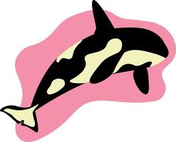 tueur baleine isolé illustration, mignonne baleine sur rose place sur blanc arrière-plan, mer la vie vecteur