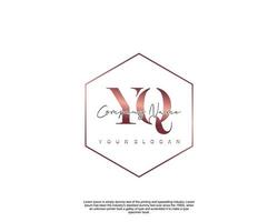 initiale lettre yq féminin logo beauté monogramme et élégant logo conception, écriture logo de initiale signature, mariage, mode, floral et botanique avec Créatif modèle vecteur
