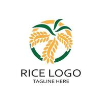 paddy plante logo, riz grain logo, riz, naturel biologique l'agriculture, pour entreprise,entreprise,agriculture,produit,ferme boutique, agricole équipement, riz entrepôt, avec moderne minimaliste vecteur