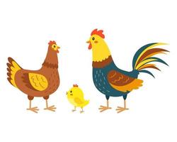 coq avec poule et poussin. mignonne poulet famille sur le cultiver. vecteur illustration.