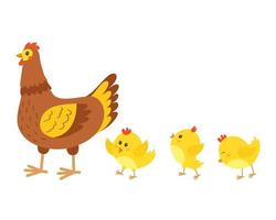 le poulets suivre le poulet. poulet famille. vecteur illustration.