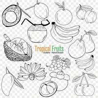 tropical des fruits collection, contour vecteur illustration, en bonne santé alimentaire, dessiné à la main illustration