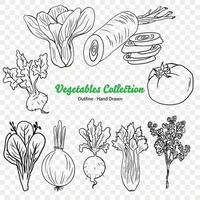 des légumes vecteur illustration, agriculture usine, salade ingrédient, légume cultiver, végétalien nourriture, biologique nourriture