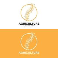 riz logo, agriculture conception, vecteur blé riz icône modèle illustration