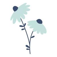 vecteur illustration de camomille dans plat conception. camomille fleurs avec foncé bleu feuilles. fleur fleurs dans bleu couleur. printemps botanique illustration.