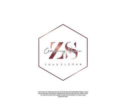 initiale lettre zs féminin logo beauté monogramme et élégant logo conception, écriture logo de initiale signature, mariage, mode, floral et botanique avec Créatif modèle vecteur