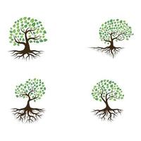 logos de l'écologie des feuilles d'arbre vert vecteur