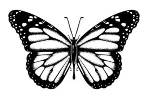 papillon esquisser dessin tiré par main avec encrer. insecte silhouette. isolé sur blanc Contexte. vecteur. vecteur