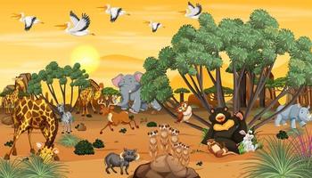 animal africain dans le paysage forestier au moment du coucher du soleil vecteur