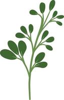 vert botanique feuilles illustration vecteur