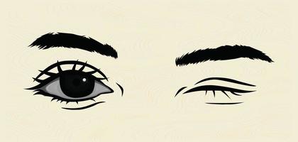 illustration de une paire de femelle yeux. œil vecteurs vecteur