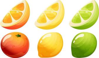ensemble de dessin animé agrumes des fruits. orange, citron, citron vert et tranches sur transparent Contexte vecteur