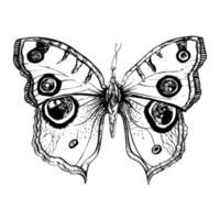main tiré détaillé papillon. isolé sur blanc arrière-plan, vecteur insecte, monochrome illustration