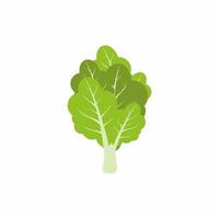 feuilles de laitue vert vif. nutrition végétarienne isolée sur fond blanc. concept de légumes frais et sains. vecteur de style dessin animé plat pour affiche publicitaire d'épicerie