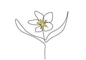 belle fleur style de dessin continu d'une ligne. conception minimaliste de fleur de jasmin balinais. fleur de jasmin de beauté fraîche pour logo de jardin isolé sur fond blanc. illustration vectorielle