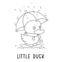 une peu canard avec un parapluie dans le pluie. adapté pour coloration livre, coloration pages, arrière-plan, autocollant, affiche, etc vecteur